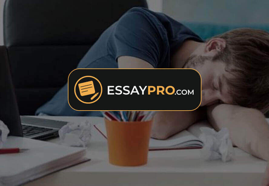 Top professional paper writers in the usa